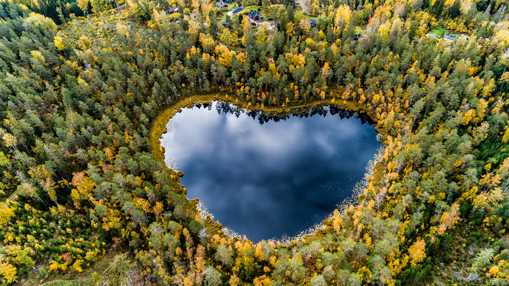 Sjö som formar ett hjärta i skogen